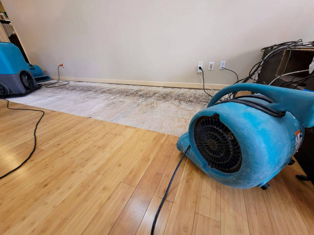 Professional Water Removal technician working in Breckenridge, MI